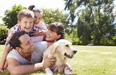 Eine Familie mit Ihrem Hund auf der Wiese